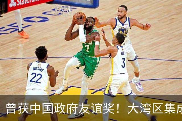 曾获中国政府友谊奖！大湾区集成电路研究院首席科学家在上海逝世，享年63岁