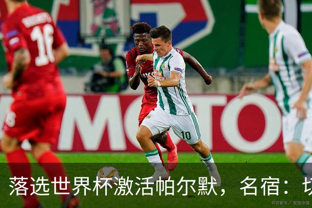 落选世界杯激活帕尔默，名宿：切尔西不换门将没戏！