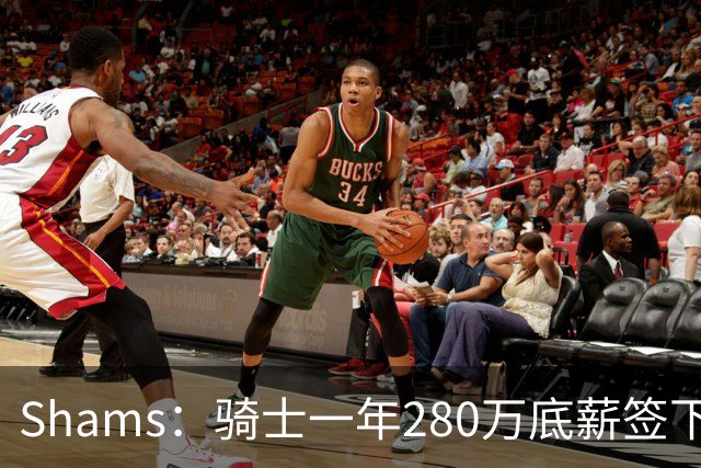 Shams：骑士一年280万底薪签下31岁克罗地亚前锋海佐尼亚 曾效力NBA五年后重返